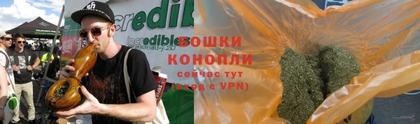 прущие крисы Белокуриха