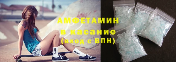 крисы Тайга