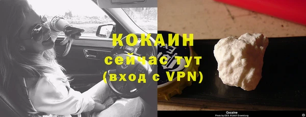 прущие крисы Белокуриха
