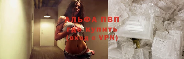 молекула духа Белоозёрский