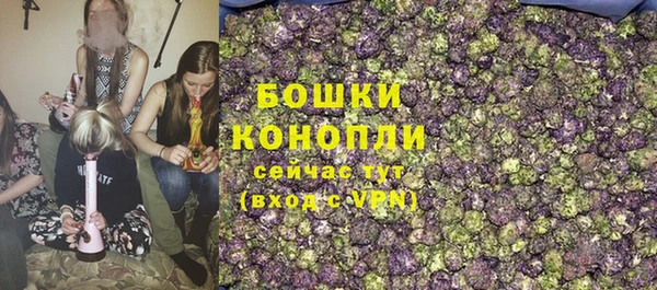 молекула духа Белоозёрский