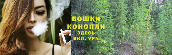 прущие крисы Белокуриха