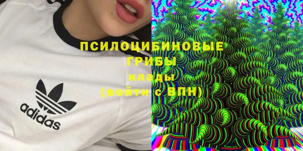 молекула духа Белоозёрский