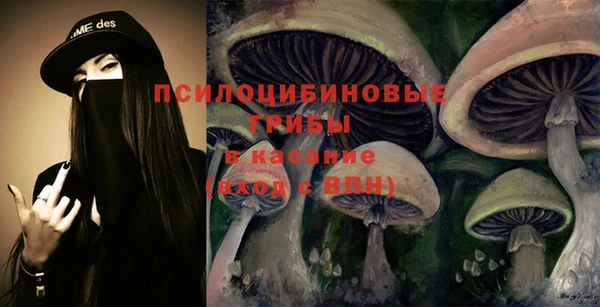 молекула духа Белоозёрский