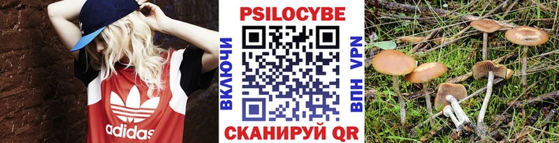 сколько стоит  блэк спрут ссылка  Галлюциногенные грибы мицелий  Володарск 